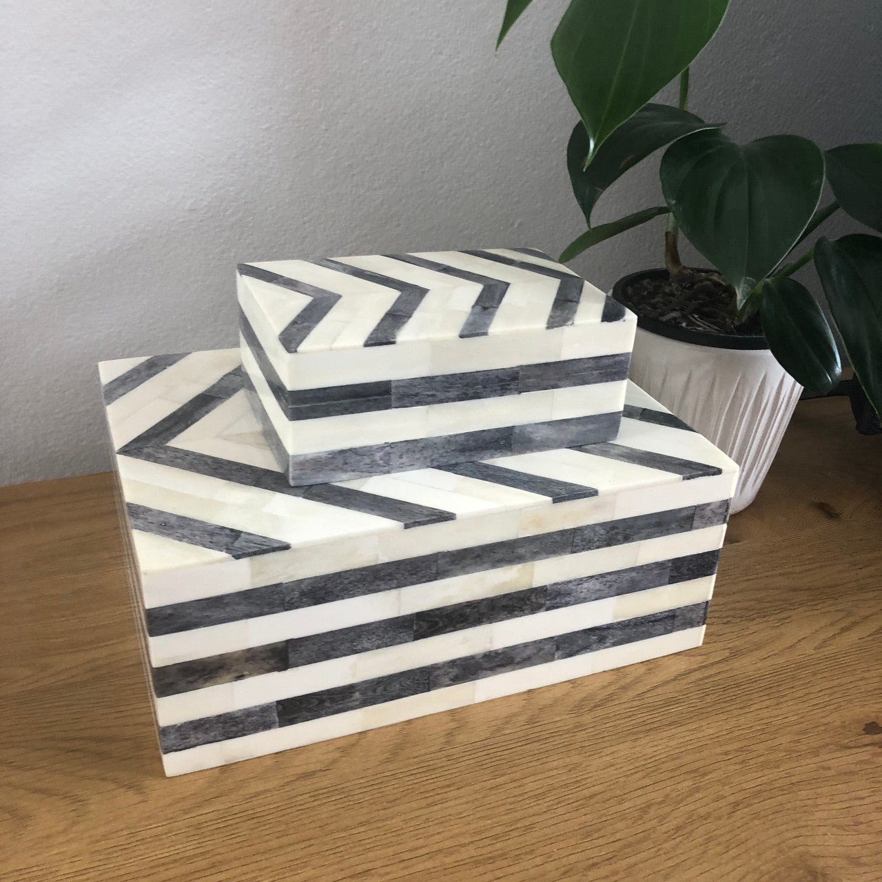 Bone Inlay Box : Zig Zag : Black & White - Jodha Furniture